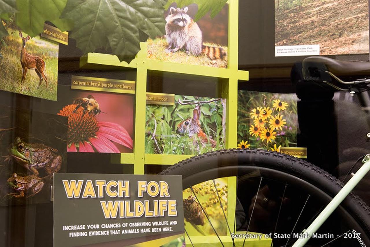 Mountain Biking Exhibit at Arkansas State Capitol