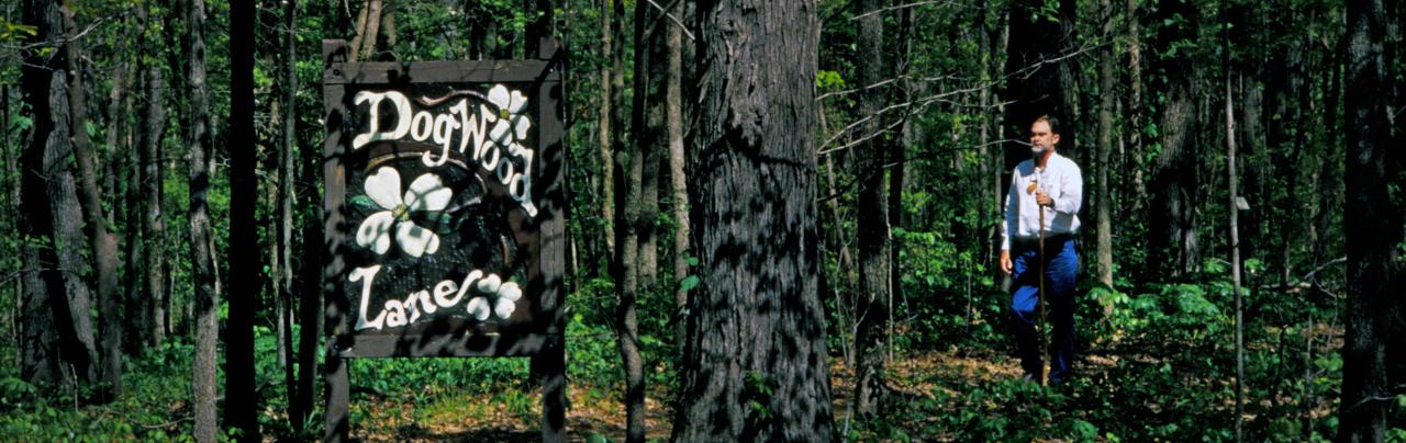 Dogwood Trail at Lake Frierson
