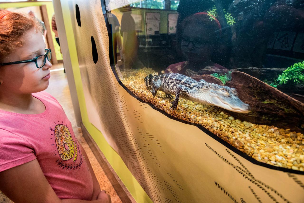Logoly Children's Exhibits