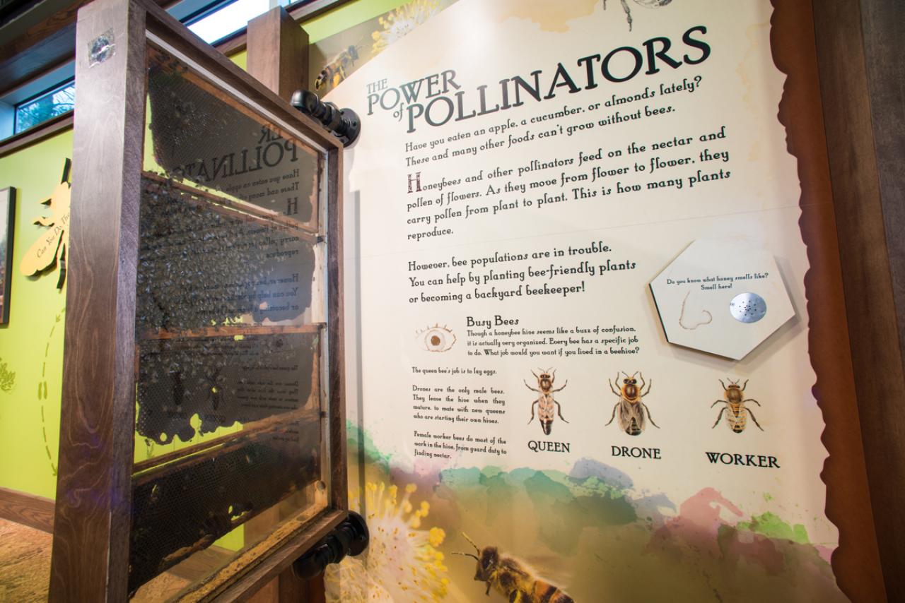 Logoly Children's Exhibits