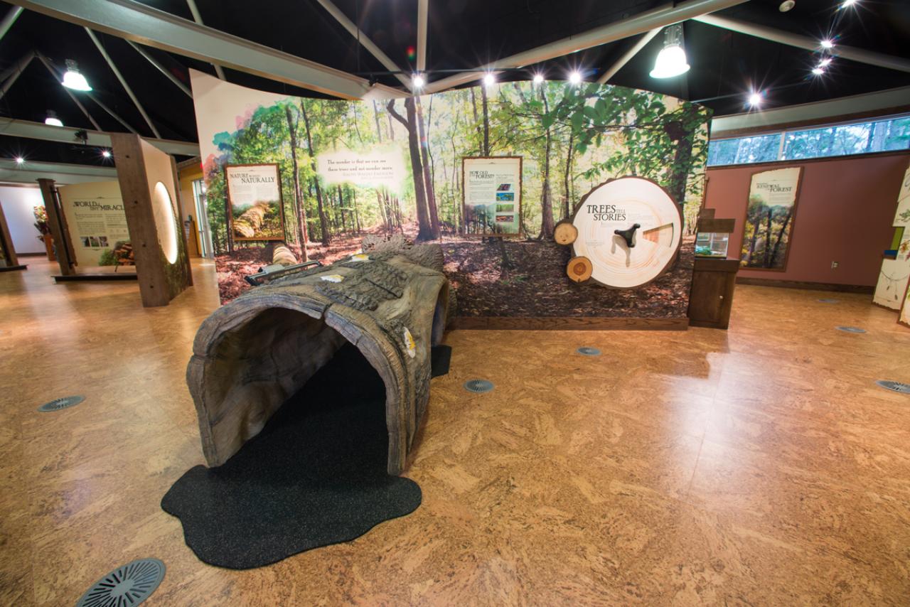 Logoly Children's Exhibits