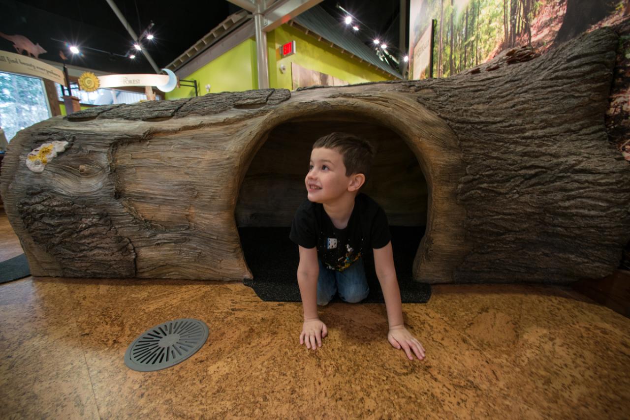 Logoly Children's Exhibits