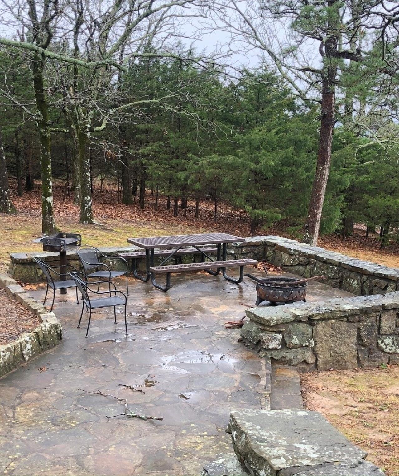 A view of the outdoor seating area, firepit, and outdoor grill at Cabin 8 at Mount Nebo State Park