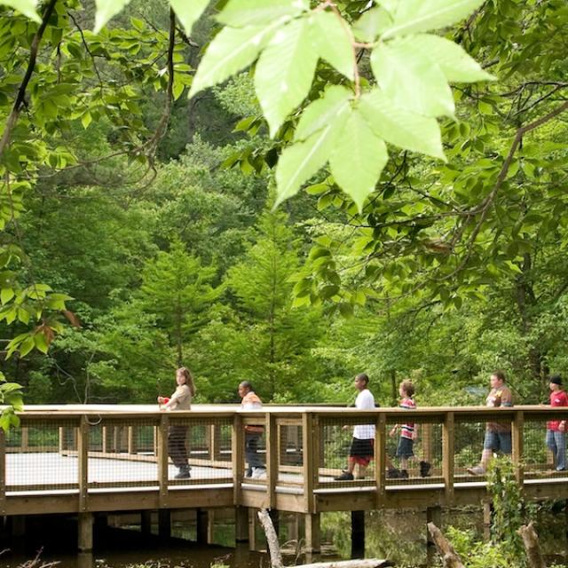 geocaching at logoly state park