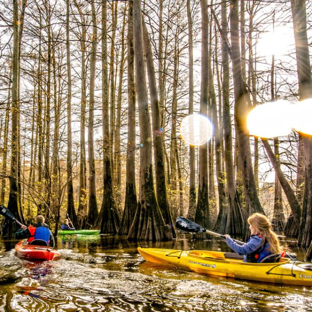 The state of Arkansas has an abundance of lakes and that means the perfect spot for water sports. Start planning your next water sport adventure at one of the state parks. Try water skiing on Bull Shoals Lake, wake boarding on Lake Ouachita or rent a jet ski at DeGray Lake.