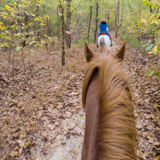 Horseback Riding Arkansas State Parks