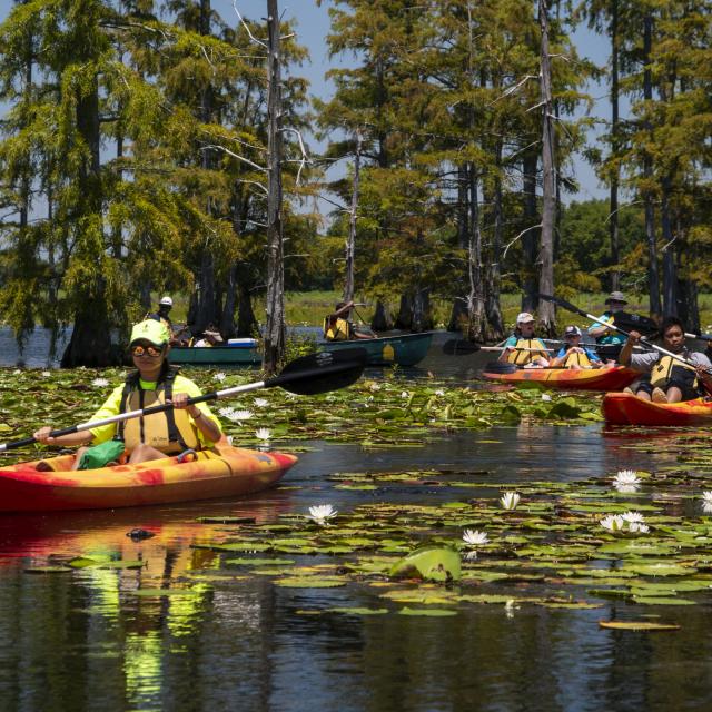 Kayaking at Cane Creek State Park