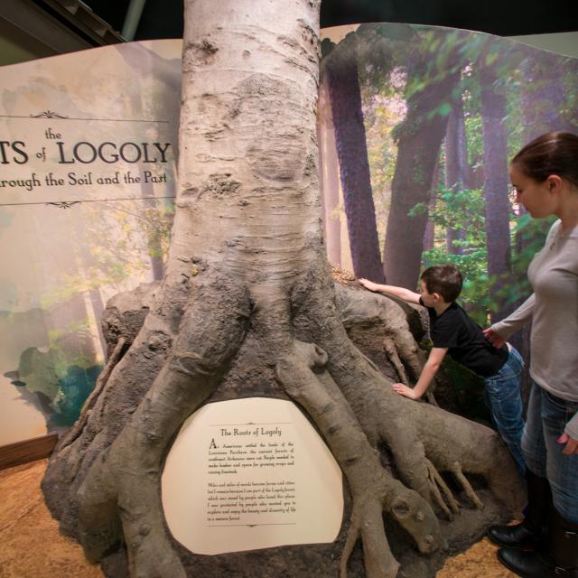 Exhibits at Logoly State Park