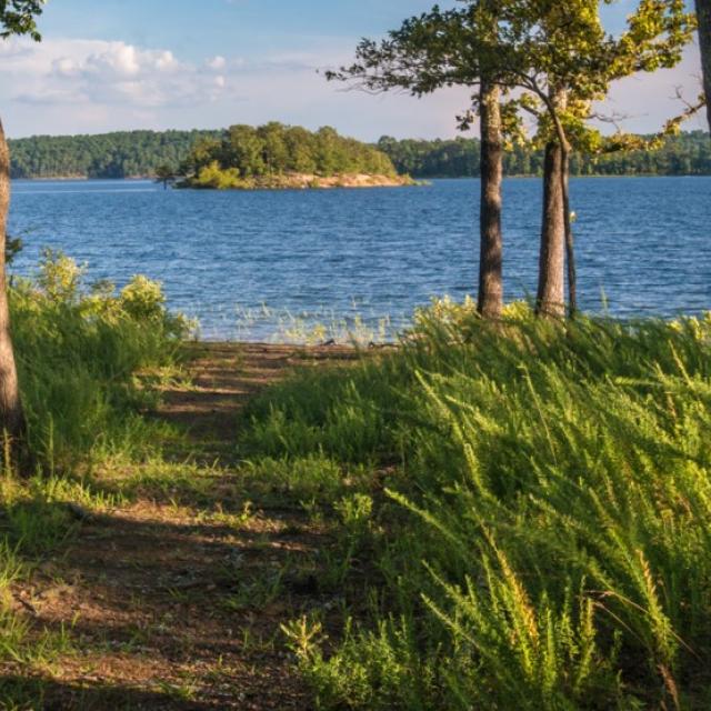 A look at the lake through the trees in an Arkansas State Park