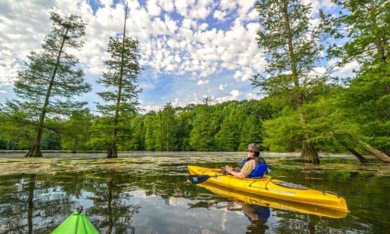 Kayaking Beaver Pond at Mississippi River State Park