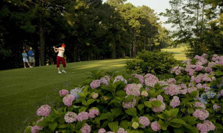 Degray Lake Resort State Park Golf Courses