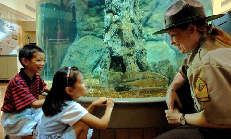 Lake Dardanelle State Park