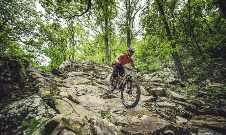 A mountain biker riding the Mount Nebo State Park Monument Trails