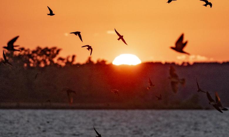 Sunset at Lake Ouachita State Park