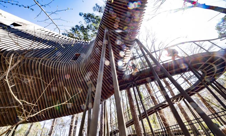 Bob and Sunny Evans Treehouse