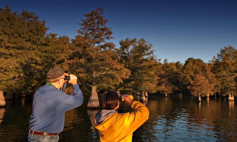 Bird Watching at Lake Chicot State Park