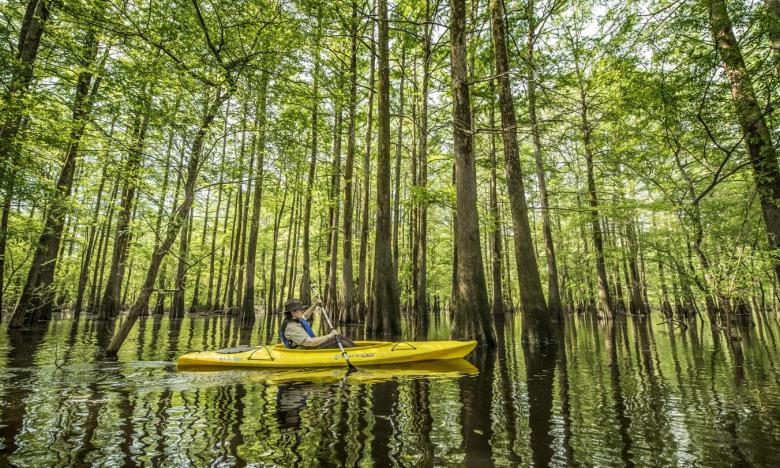 Kayaking at Mississippi River State Park