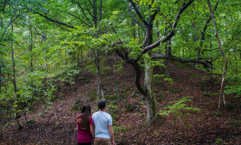 Hiking at Village Creek State Park