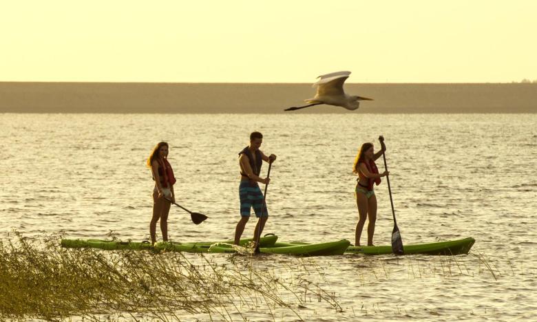 Paddleboarding at DeGray Lake Resort State Park