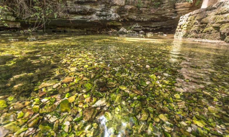 Clear waters at Withrow Springs State Park