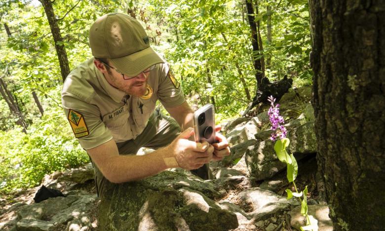 A park interpreter photographs local flora