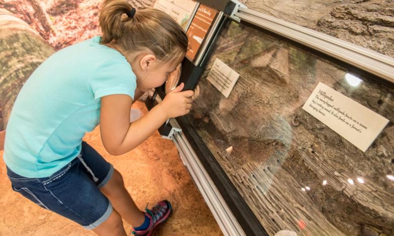 A girl stares through a magnifying glass at a piece of wood on display at Logoly