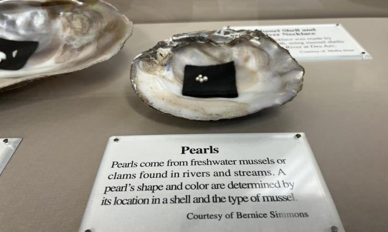 Tidbits about freshwater mussels at Lower White River Museum State Park.