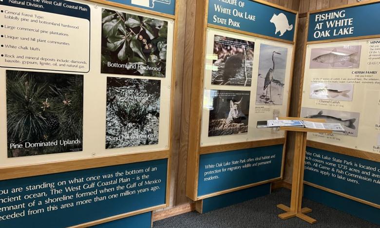 Inside the visitor center at White Oak Lake State Park. 