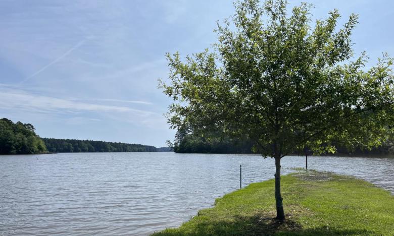 White Oak Lake State Park is located on Lower White Oak Lake. 