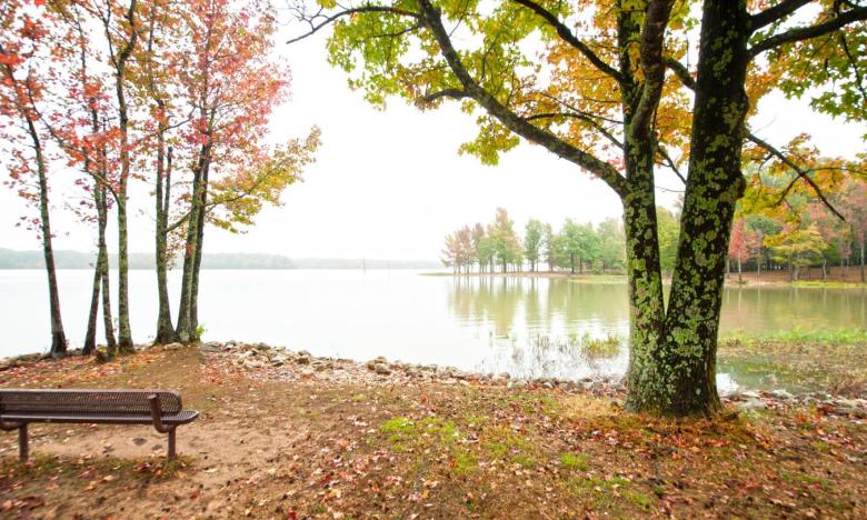 Lake Frierson State Park.