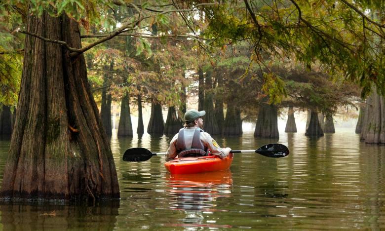 Lake Chicot.