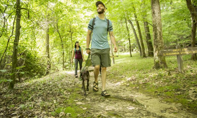 The terrain at Village Creek State Park.
