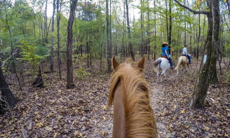 Riding at Village Creek State Park. 