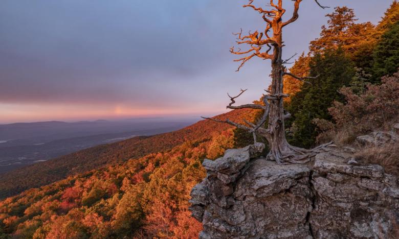 File photo of Mount Magazine State Park. Photo by Kirk Jordan. 