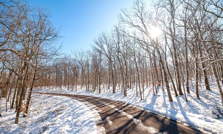 File photo of Mount Magazine State Park. Photo by Kirk Jordan. 