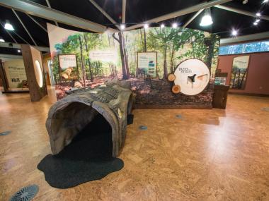 Exhibits at Logoly State Park