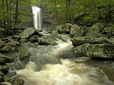 Cedar Falls