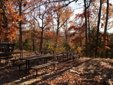 Ozark Folk Center Picnic Tables in Fall