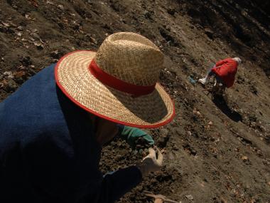 person searching diamond field at Crater of Diamonds State Park