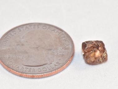 Pat Choat's brown "Illusive Dream Diamond" next to a quarter