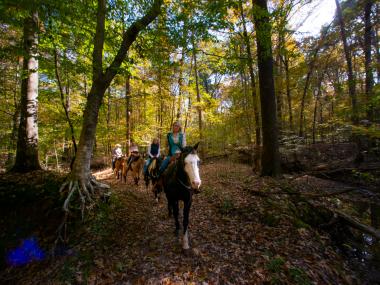 Village Creek State Park