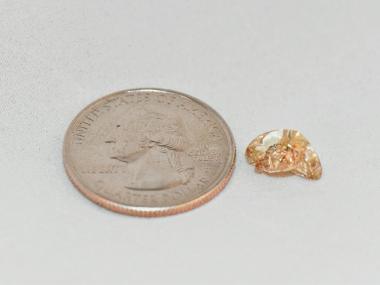 Diamond found at Crater of Diamonds State Park next to quarter for scale