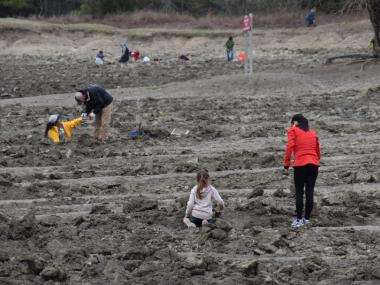 Searching for diamonds at Crater of Diamonds State Park