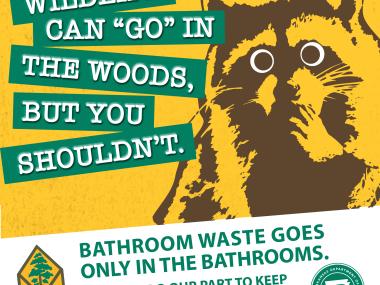 Human waste should not be in the woods