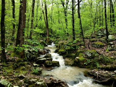 Stream at Lake Fort Smith State Park