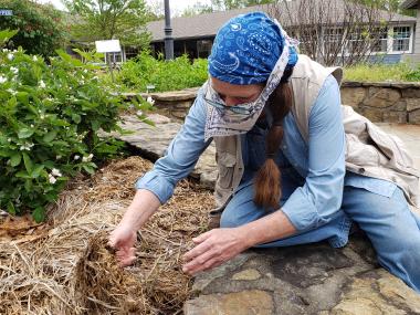 woman using straw mulch
