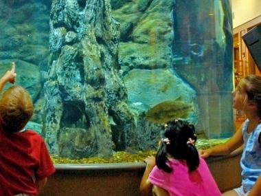 Aquarium at Lake Dardanelle State Park