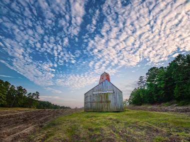 Crater of Diamonds State Park Search Field