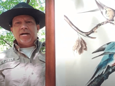 Park Interpreter Chris Pistole Holds Painting of Passenger Pigeon