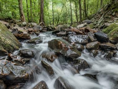 Cedar Creek Trail at Petit Jean State Park